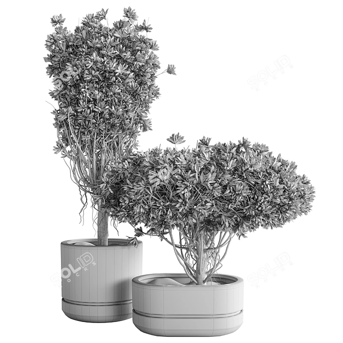 Modern Indoor Plant Decor Set 3D model image 1