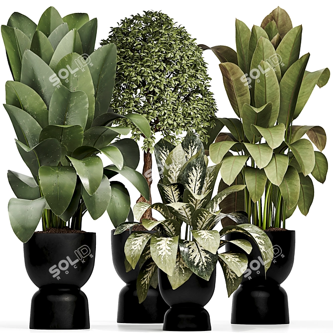 Detailed Indoor Plant 3D Model 3D model image 5