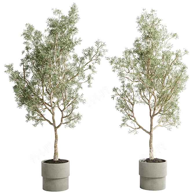 Concrete Vase Olive Trees Set 3D model image 1