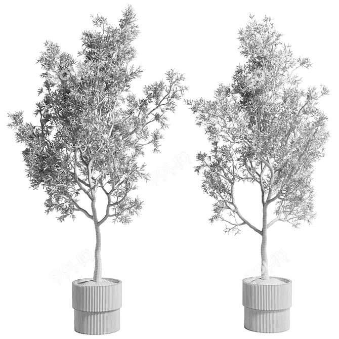 Concrete Vase Olive Trees Set 3D model image 7