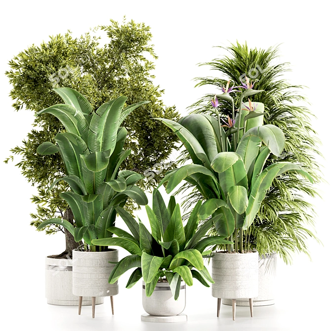 High-Quality Indoor Plants Set 3D model image 1