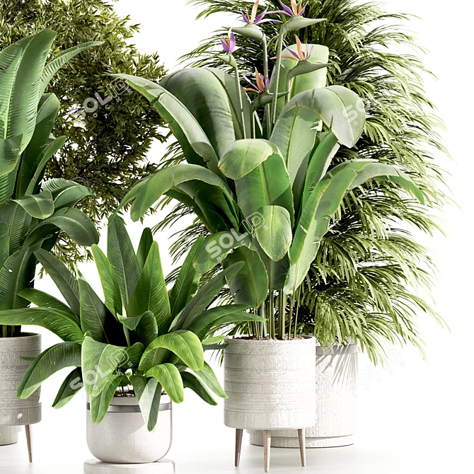 High-Quality Indoor Plants Set 3D model image 2