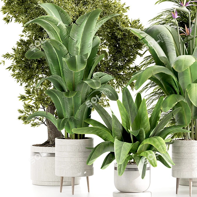 High-Quality Indoor Plants Set 3D model image 3