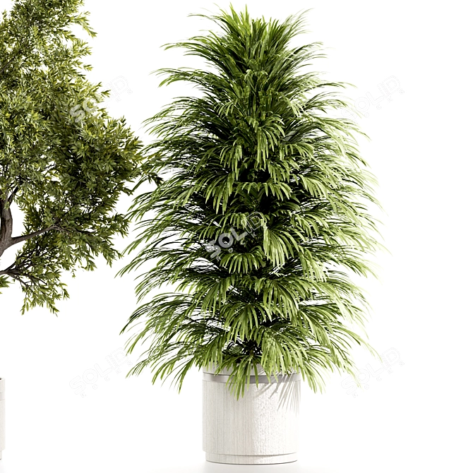 High-Quality Indoor Plants Set 3D model image 4