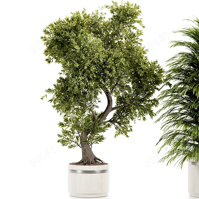 High-Quality Indoor Plants Set 3D model image 5