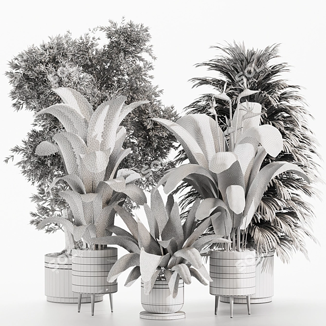 High-Quality Indoor Plants Set 3D model image 6