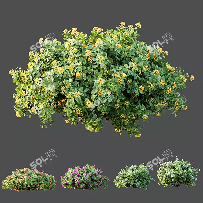 Confetti Lantana Bush 3D Models 3D model image 4