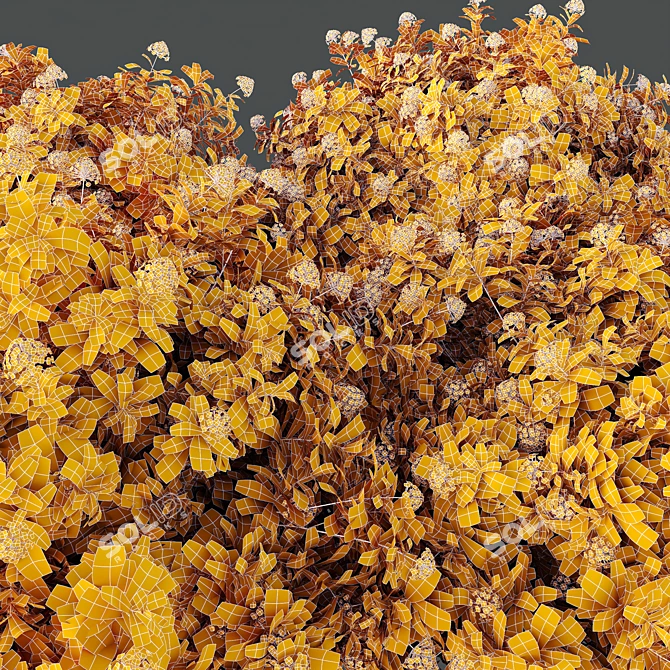Confetti Lantana Bush 3D Models 3D model image 5