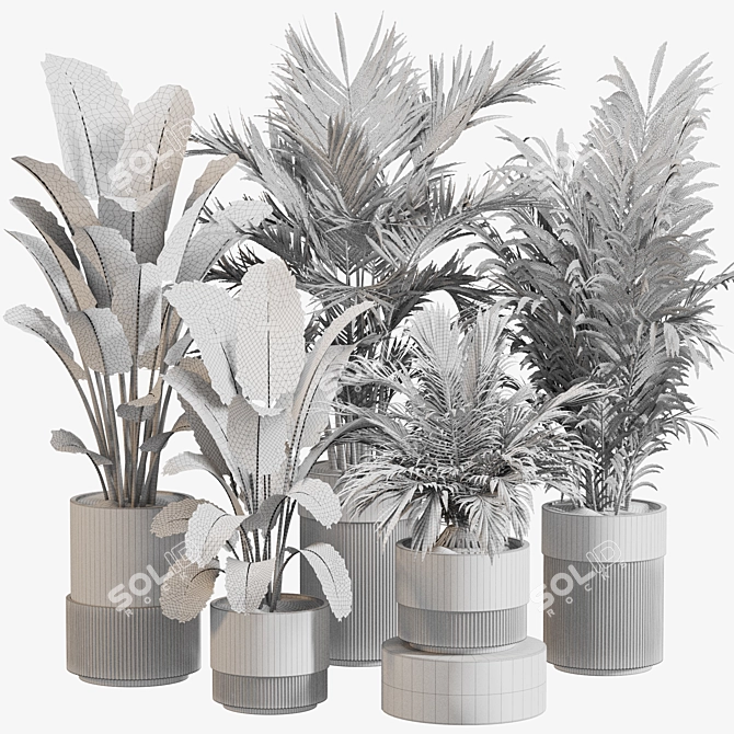 Green Oasis Indoor Plant Set 3D model image 5