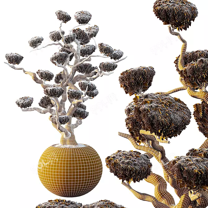 Luxury Potted Sphere Tree Model 3D model image 3