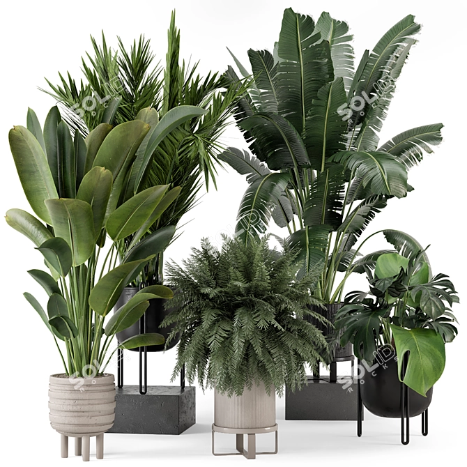  Modern Indoor Plant Set in Large Bau Pot 3D model image 1