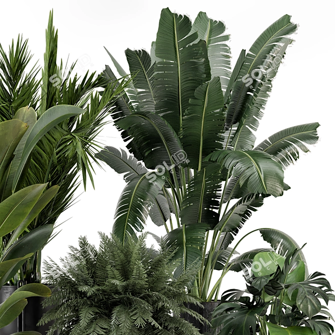  Modern Indoor Plant Set in Large Bau Pot 3D model image 2