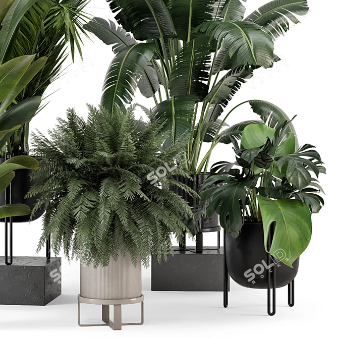  Modern Indoor Plant Set in Large Bau Pot 3D model image 3