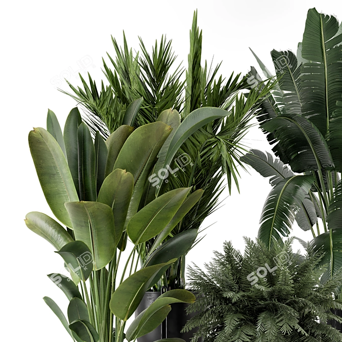  Modern Indoor Plant Set in Large Bau Pot 3D model image 4