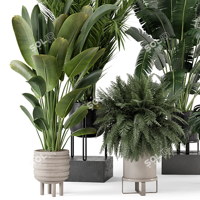  Modern Indoor Plant Set in Large Bau Pot 3D model image 5