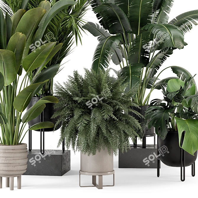  Modern Indoor Plant Set in Large Bau Pot 3D model image 6