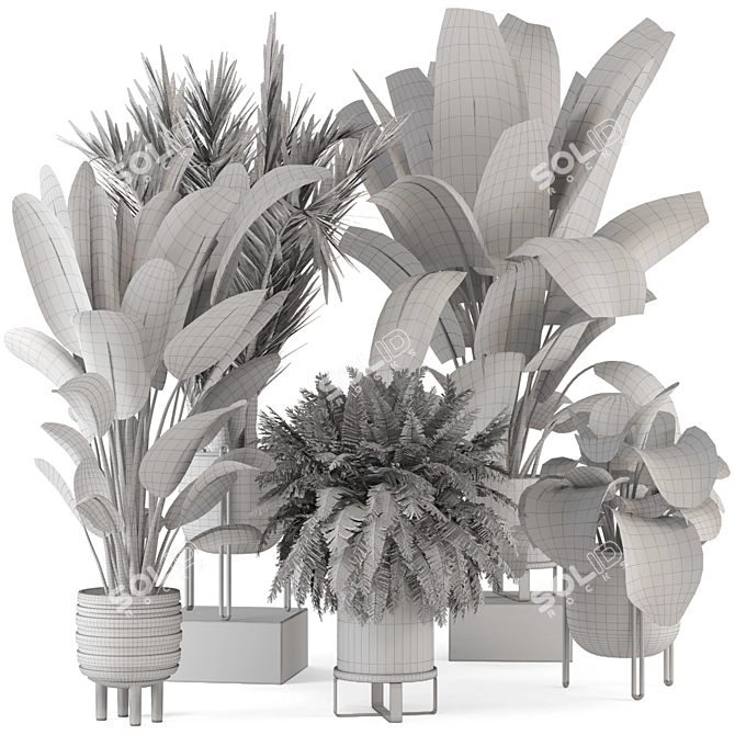  Modern Indoor Plant Set in Large Bau Pot 3D model image 7