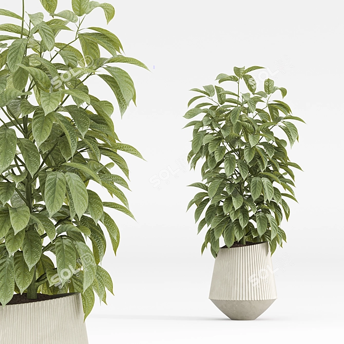 Diverse Indoor Plants Set 3D model image 4