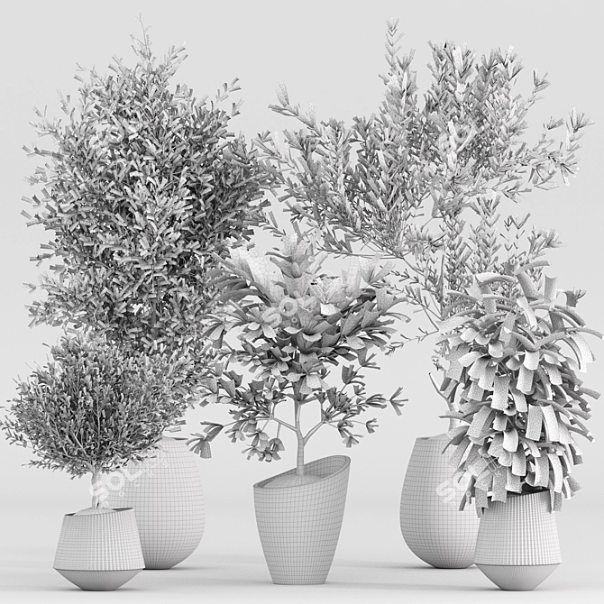 Diverse Indoor Plants Set 3D model image 7