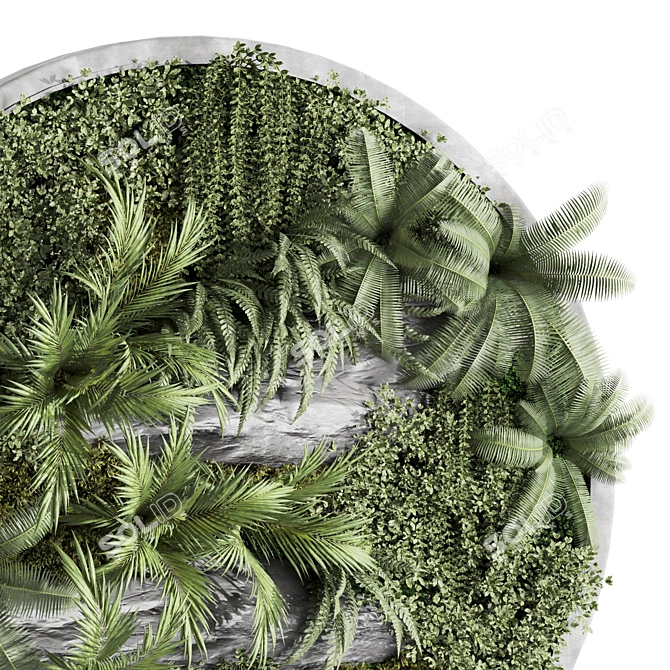 Circular Fitowall Plant Frame Set 3D model image 4
