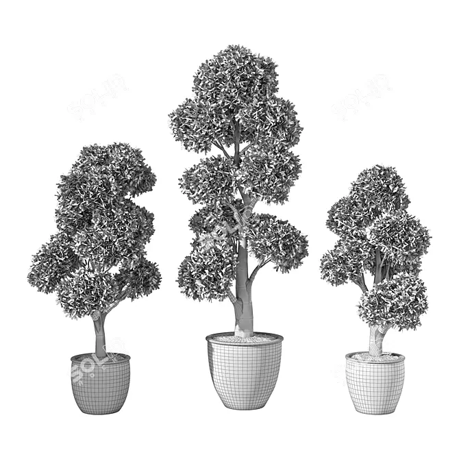 Evergreen Oasis Plant Set 3D model image 4