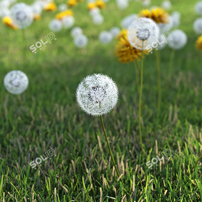 Meadow Bliss 3D model image 3