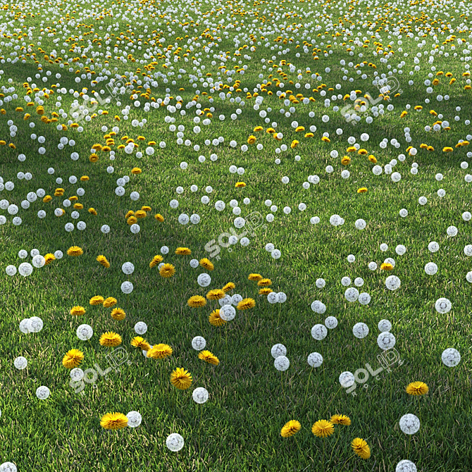 Meadow Bliss 3D model image 4