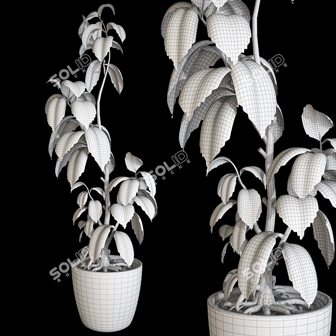 3D Model Collection Max 2015 - Plants, Chandelier, Decor. 3D model image 7