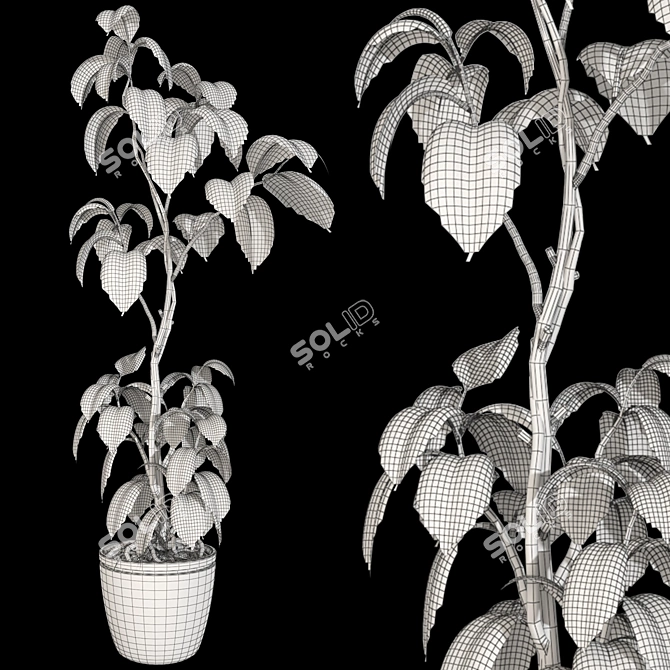 3D Plant & Decor Collection 3D model image 7