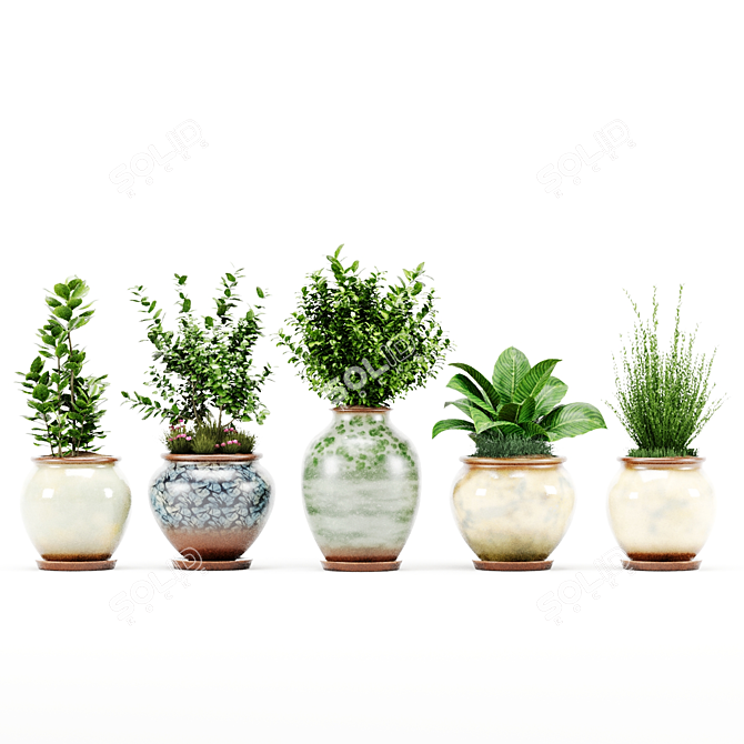  PBR Indoor Plant Set 3D model image 2