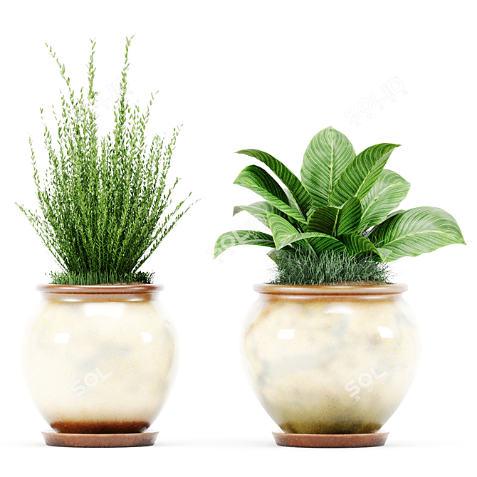  PBR Indoor Plant Set 3D model image 3