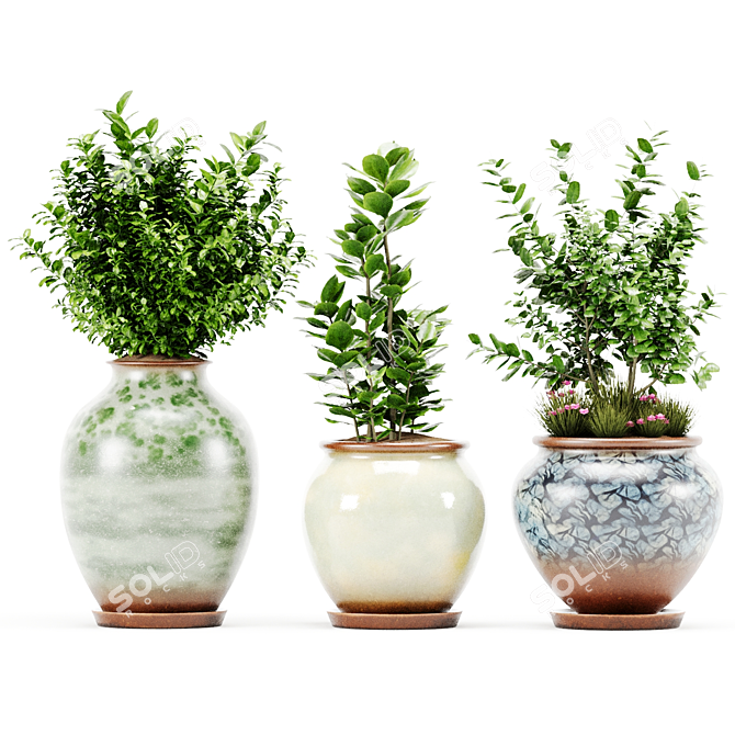  PBR Indoor Plant Set 3D model image 4