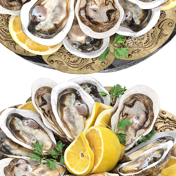 Seafood Oysters Plate 3D Model 3D model image 3