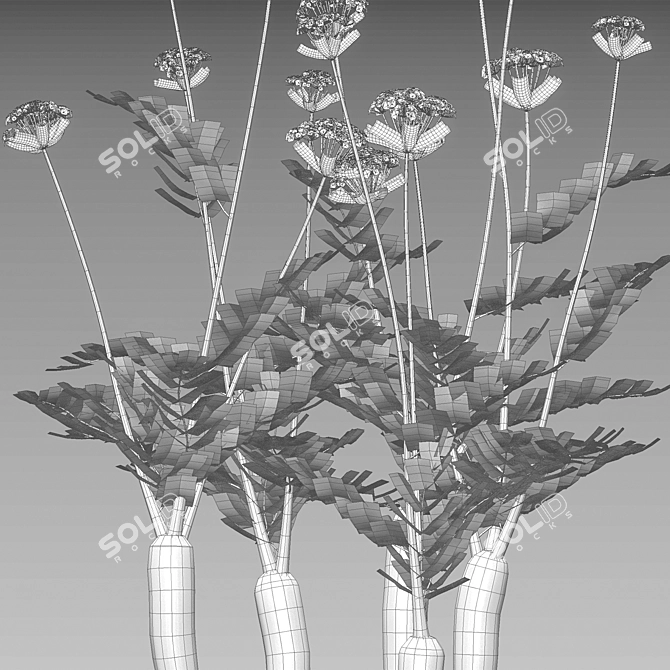 Diverse 3D Plant Models Collection 3D model image 5