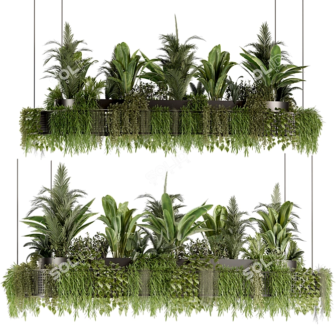 Premium Hanging Indoor Plant Set 3D model image 2