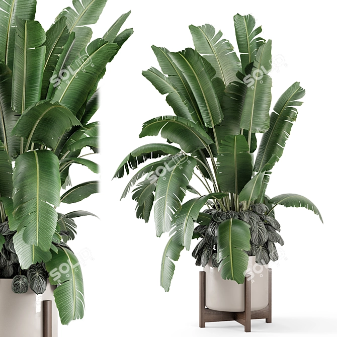 Rusty Concrete Pot Indoor Plants 3D model image 1