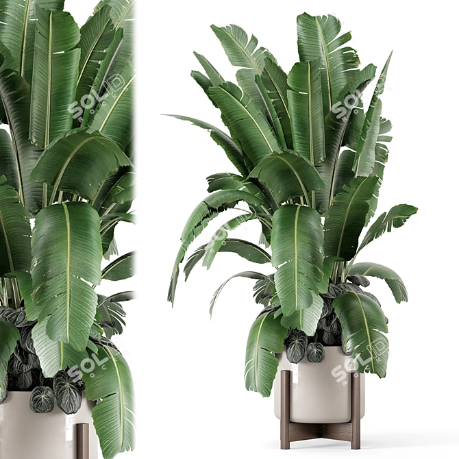 Rusty Concrete Pot Indoor Plants 3D model image 2