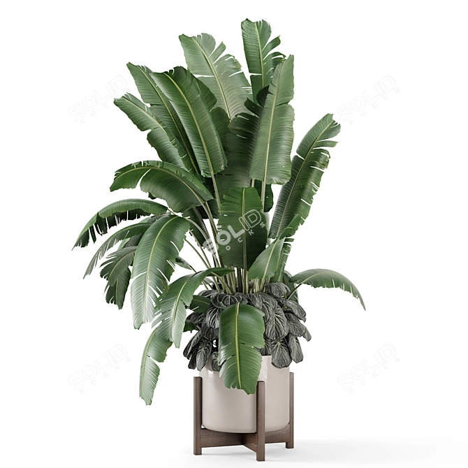Rusty Concrete Pot Indoor Plants 3D model image 3