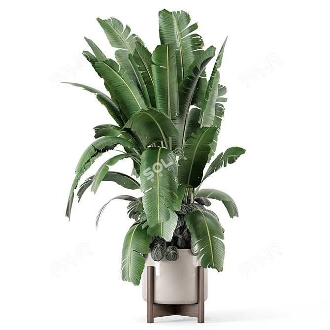 Rusty Concrete Pot Indoor Plants 3D model image 4