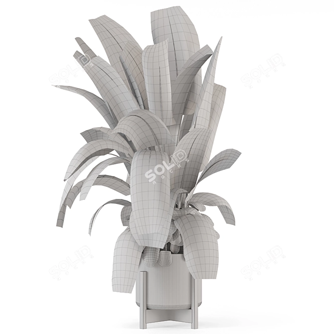 Rusty Concrete Pot Indoor Plants 3D model image 5