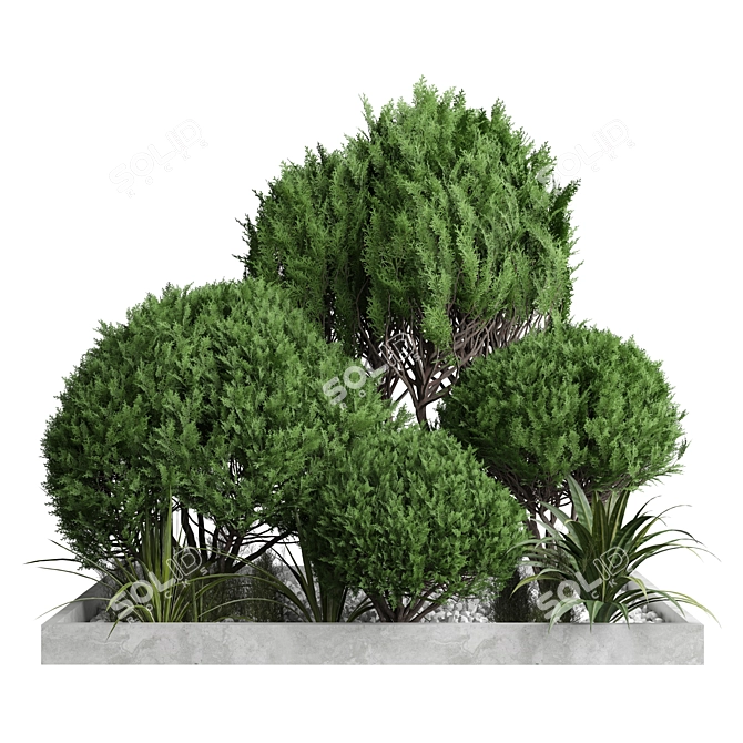 2015 Outdoor Plant 189 3D Model 3D model image 1