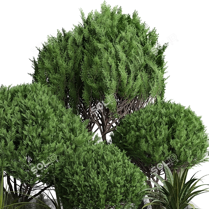 2015 Outdoor Plant 189 3D Model 3D model image 2
