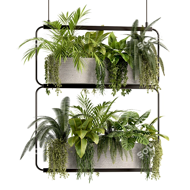 High-Quality Hanging Indoor Plant Model 3D model image 2
