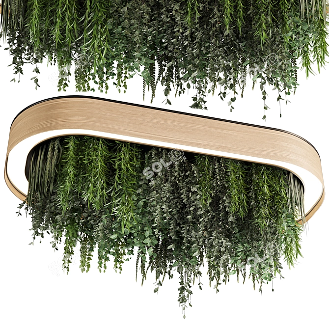 Premium Hanging Indoor Plant Set 3D model image 1