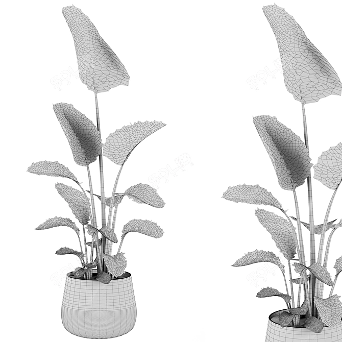 Botanical Collection 3D Models Set 3D model image 3