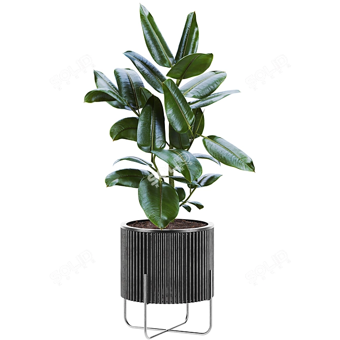  Elegant Plants Set 123 3D model image 2