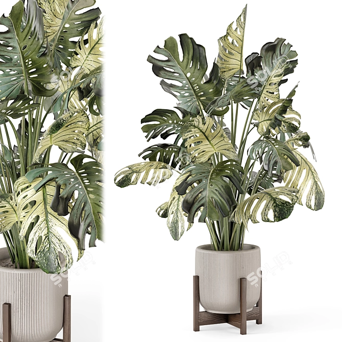 Handcrafted Stone Pot Indoor Plants 3D model image 1