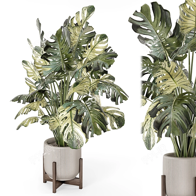 Handcrafted Stone Pot Indoor Plants 3D model image 2