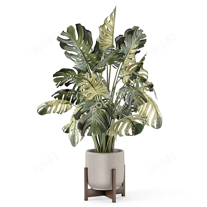 Handcrafted Stone Pot Indoor Plants 3D model image 3
