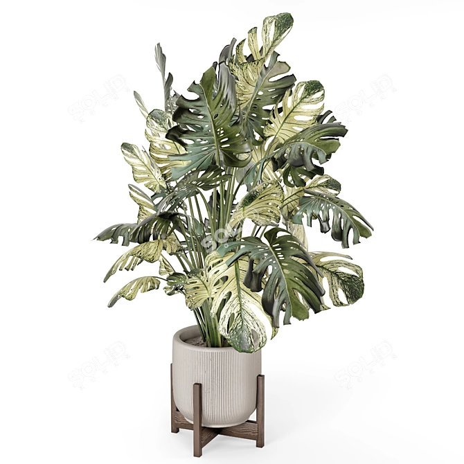 Handcrafted Stone Pot Indoor Plants 3D model image 4